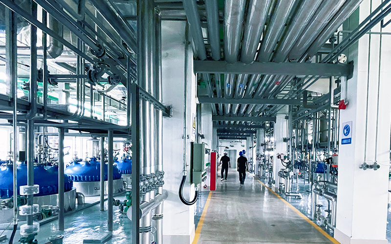 Flame Retardants: Scientific Understanding & Environmental Challenges